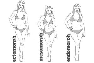 somatotypy