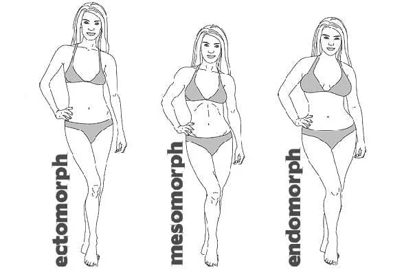 somatotypy